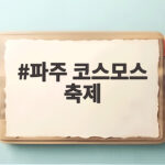 파주 코스모스 축제 율곡습지공원 가을꽃 명소 총정리 파주 코스모스 축제