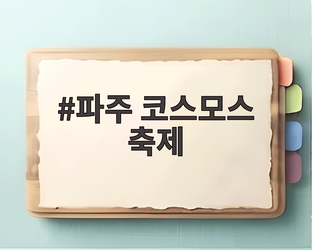 파주 코스모스 축제