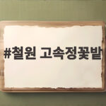 철원 고속정꽃밭 가을꽃축제 언제 어디서 볼까 철원 고속정꽃밭
