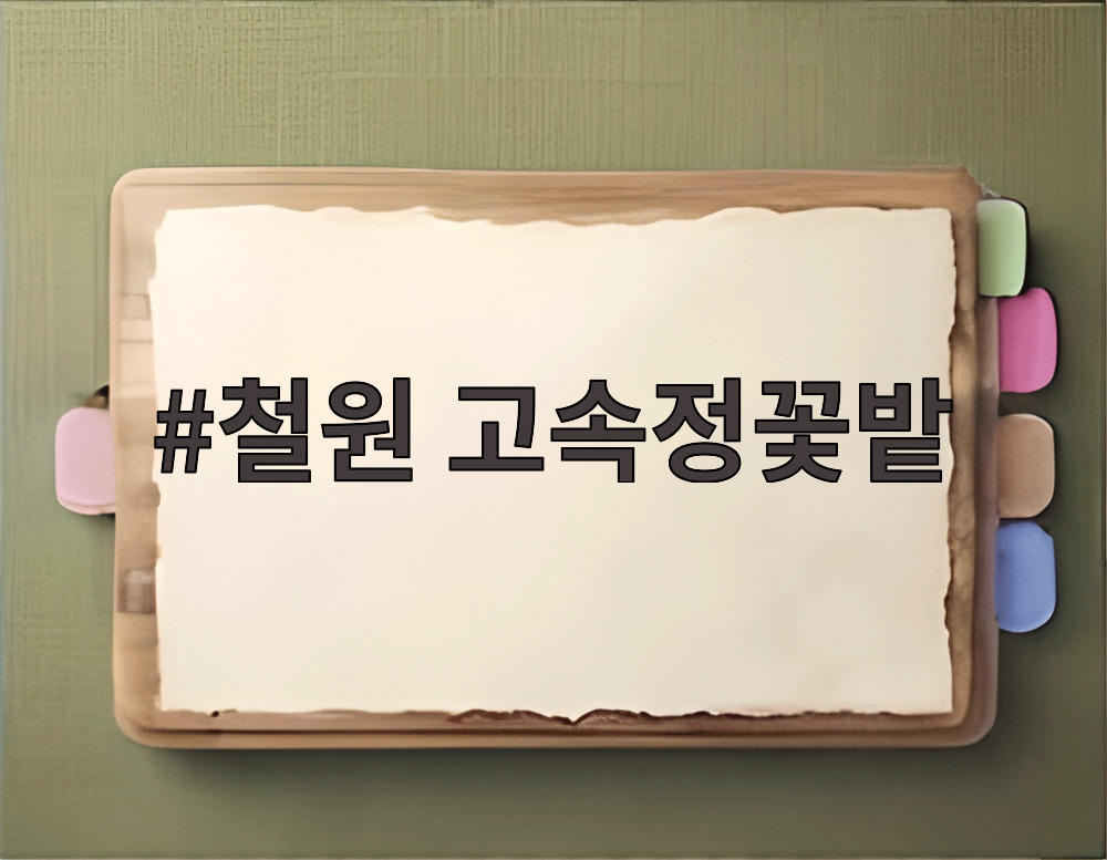 철원 고속정꽃밭