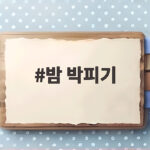 밤 박피기 고민이라면 가정용 도구 선택부터 전처리와 보관까지 밤 박피기