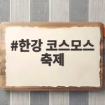 한강 코스모스 축제 10월 9일부터 무료로 즐겨요 한강 코스모스 축제