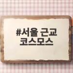 서울 근교 코스모스