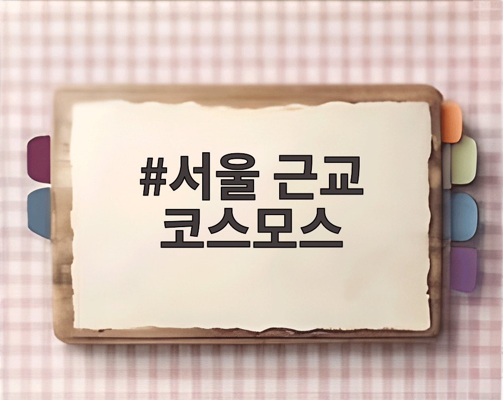 서울 근교 코스모스