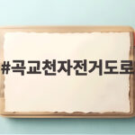 곡교천자전거도로 황금빛 은행나무길 주차와 공영자전거 이용 꿀팁 곡교천자전거도로