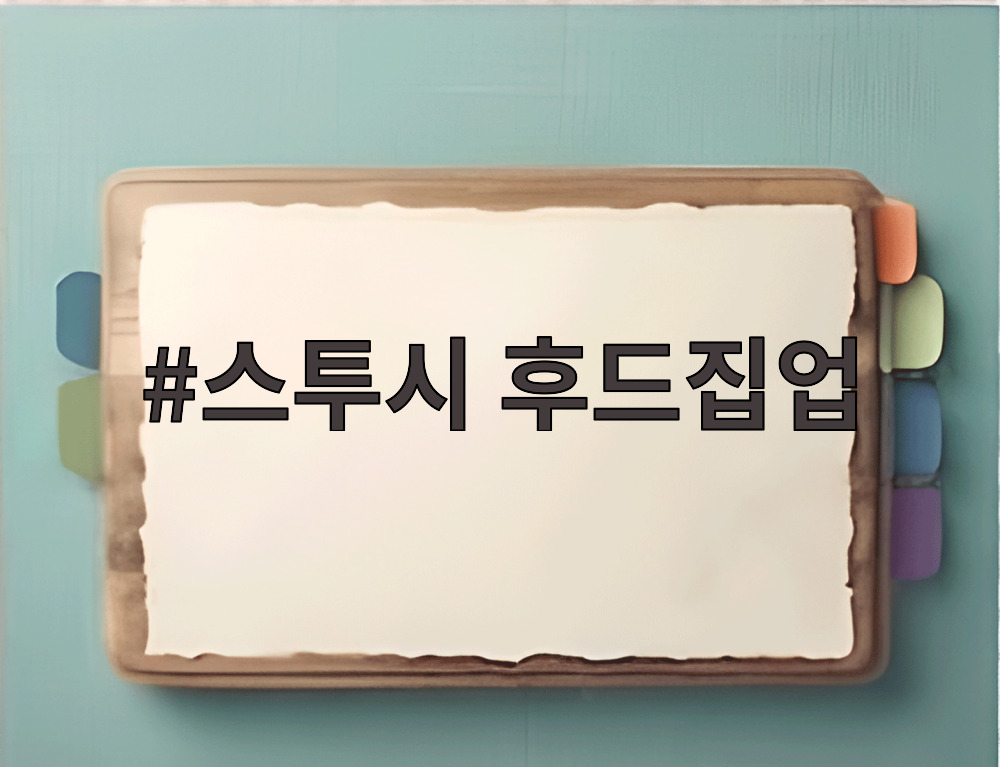 스투시 후드집업