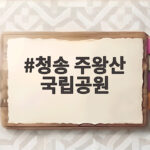청송 주왕산 국립공원 용추폭포까지 가족과 함께 걷는 방법 청송 주왕산 국립공원