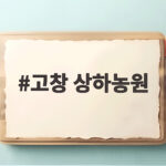 고창 상하농원 가을 나들이 완벽한 하루 보내는 법 고창 상하농원