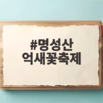 명성산 억새꽃축제