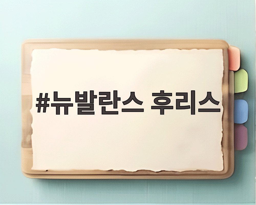 뉴발란스 후리스