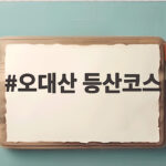 오대산 등산코스 초보도 가능한 비로봉 상왕봉 원점회귀 일출 산행 오대산 등산코스