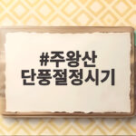 주왕산 단풍절정시기 10월 말 11월 초 계곡 코스까지 한번에 주왕산 단풍절정시기
