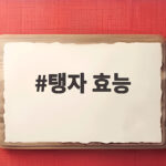 탱자 효능 신맛 강한 열매 제대로 먹는 방법과 주의사항 탱자 효능