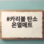 카리불 탄소 온열매트 전자파 걱정 없이 따뜻하게 잘 수 있을까 카리불 탄소 온열매트