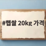 햅쌀 20kg 가격