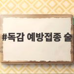 독감 예방접종 술