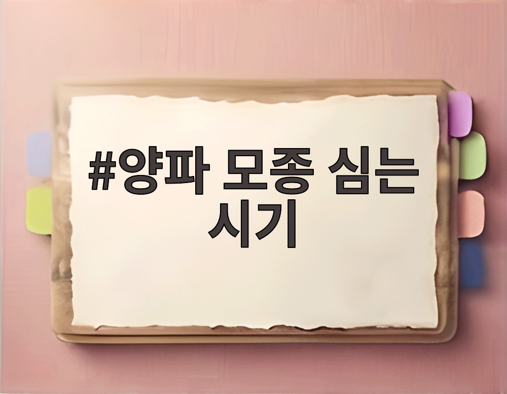 양파 모종 심는 시기