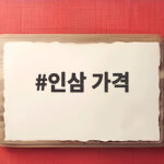 인삼 가격 2026년 9월 30일 기준 6년근 수삼 한 채 얼마일까 인삼 가격