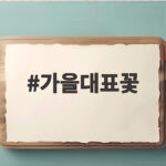 가을대표꽃 국화부터 코스모스까지 꽃말과 활용법 가을대표꽃