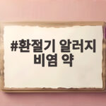 환절기 알러지 비염 약