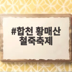 합천 황매산 철죽축제 개화 시기와 주차 꿀팁으로 완벽 준비 합천 황매산 철죽축제