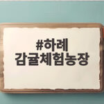 하례 감귤체험농장