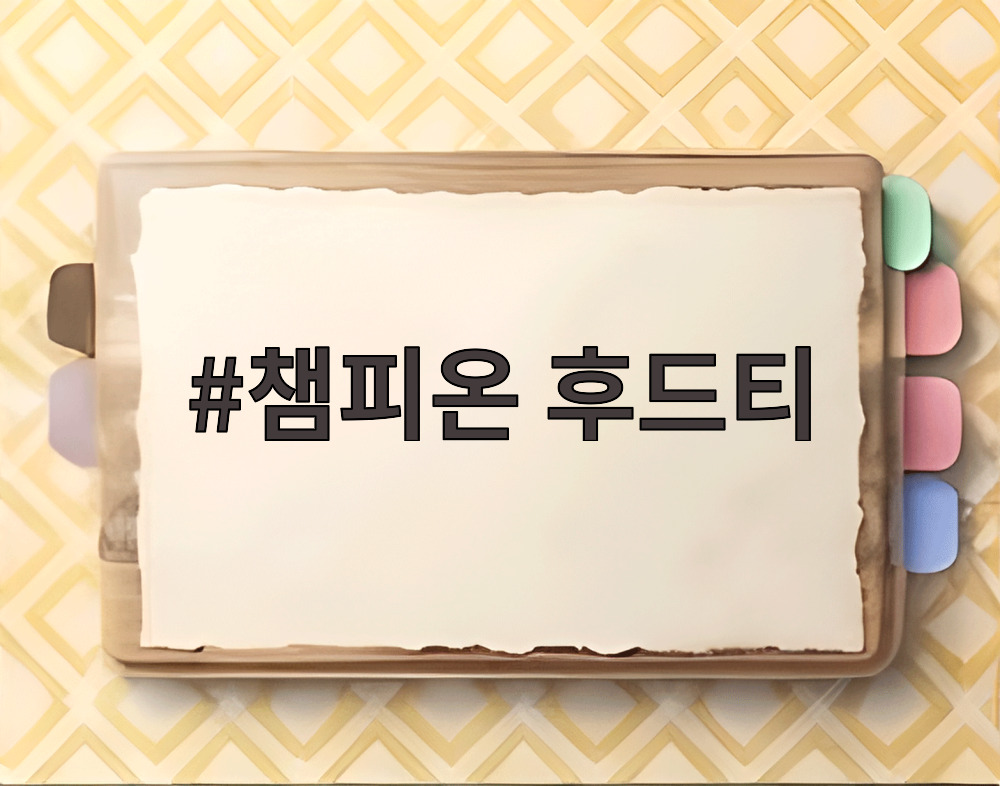 챔피온 후드티