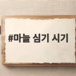 마늘 심기 시기 이렇게만 준비하면 초보자도 풍작입니다 마늘 심기 시기