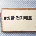 싱글 전기매트