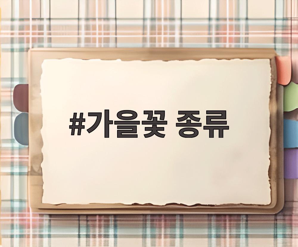 가을꽃 종류