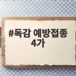 독감 예방접종 4가 대신 3가를 맞는 이유와 무료접종 일정 독감 예방접종 4가