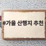가을 산행지 추천 지금 떠나기 좋은 억새 명소와 준비 방법 가을 산행지 추천