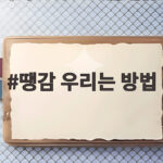 땡감 우리는 방법
