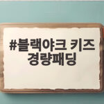 블랙야크 키즈 경량패딩 가볍고 따뜻한 등교 아우터 추천 블랙야크 키즈 경량패딩