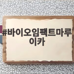 바이오임팩트마루이카 한치 낚싯대 사용 경험과 팁 바이오임팩트마루이카