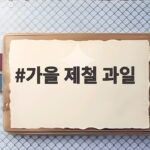 가을 제철 과일 이맘때 꼭 챙겨야 하는 이유와 고르는 법 가을 제철 과일