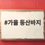 가을 등산바지 선택이 어렵다면 지금 바로 확인하세요 가을 등산바지