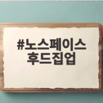 노스페이스 후드집업