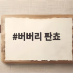버버리 판쵸 담요 아닌 스타일 아우터 아울렛 구매 팁 버버리 판쵸
