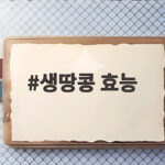 생땅콩 효능