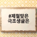 제철맞은 극조생귤은