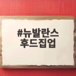 뉴발란스 후드집업