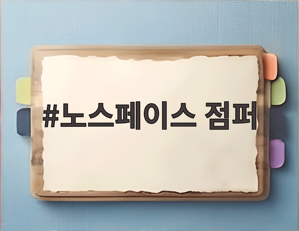 노스페이스 점퍼