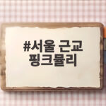서울 근교 핑크뮬리 명소 절정 시기와 사진 포인트 한눈에 확인 서울 근교 핑크뮬리