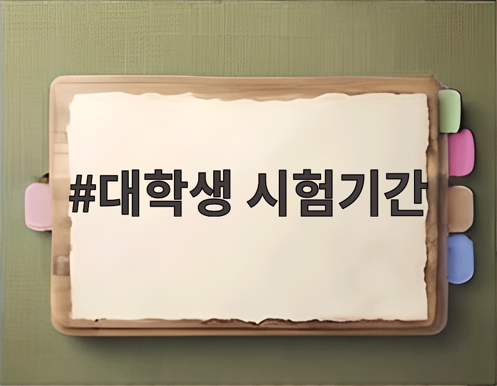 대학생 시험기간