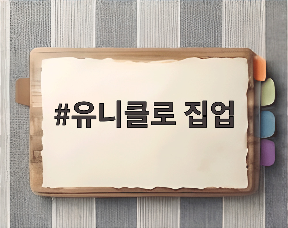 유니클로 집업
