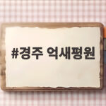 경주 억새평원 무장산, 10월에 가야 하는 이유 경주 억새평원