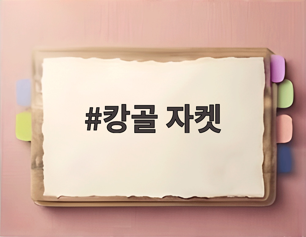 캉골 자켓
