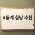 동계 침낭 추천