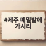 제주 메밀밭에 가시리